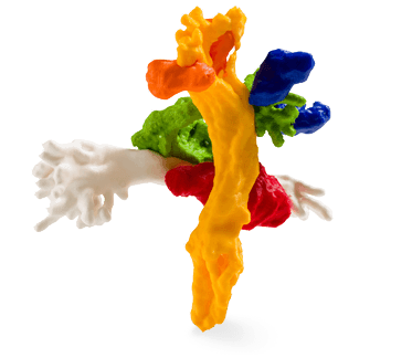 Ultimaker PLA has Precise model visualization