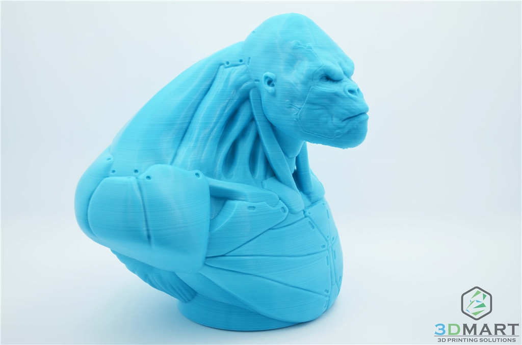 Ultimaker 3D列印機 Esun PLA+材料 Poachers Cortex 右側